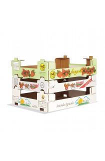 Plateaux Traditionnels 